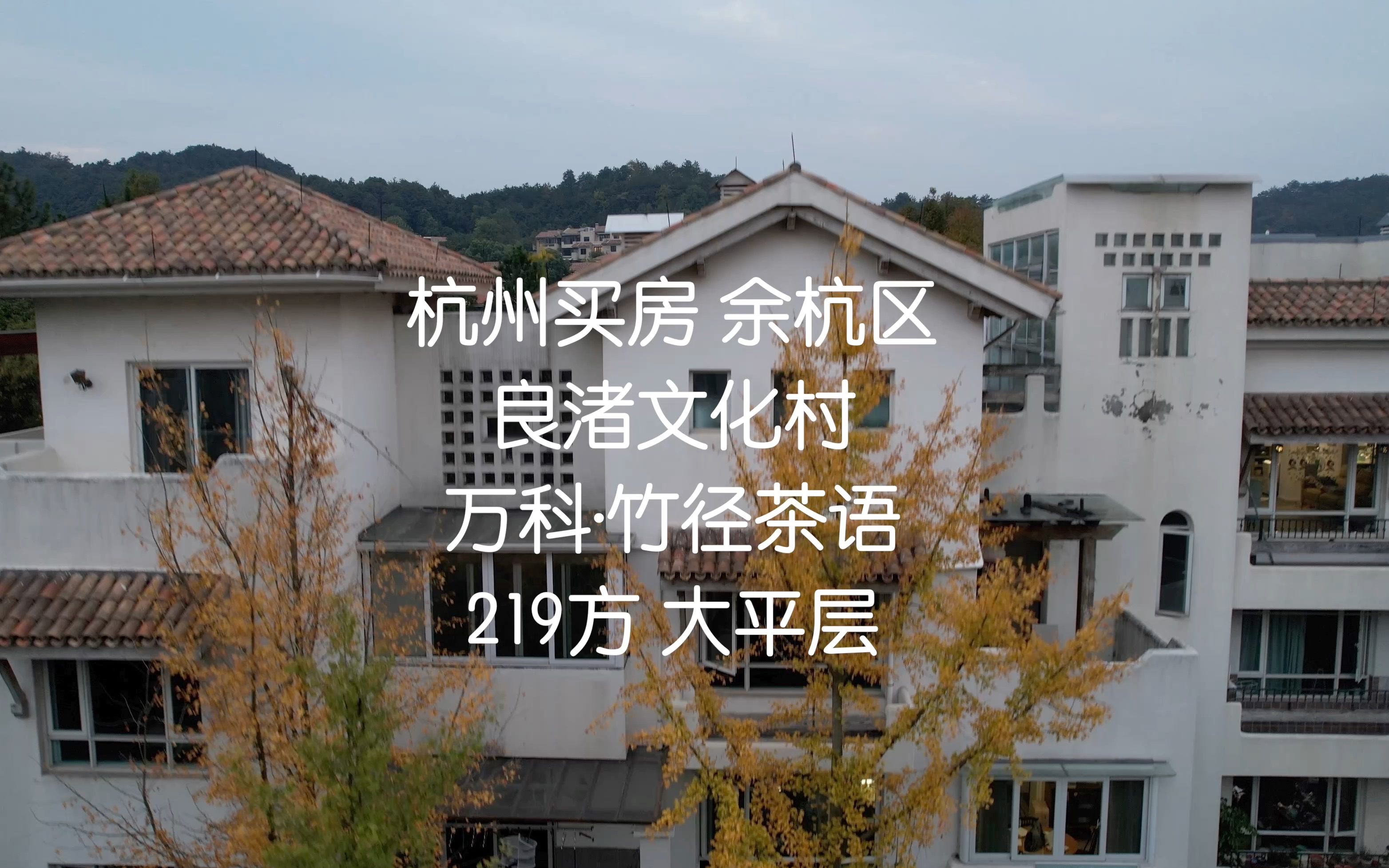 杭州良渚文化村 219方 大平层 西边套 万科·竹径茶语