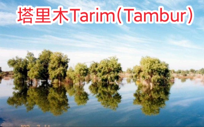 [图]【弹布尔】塔里木Tarim(tambur)