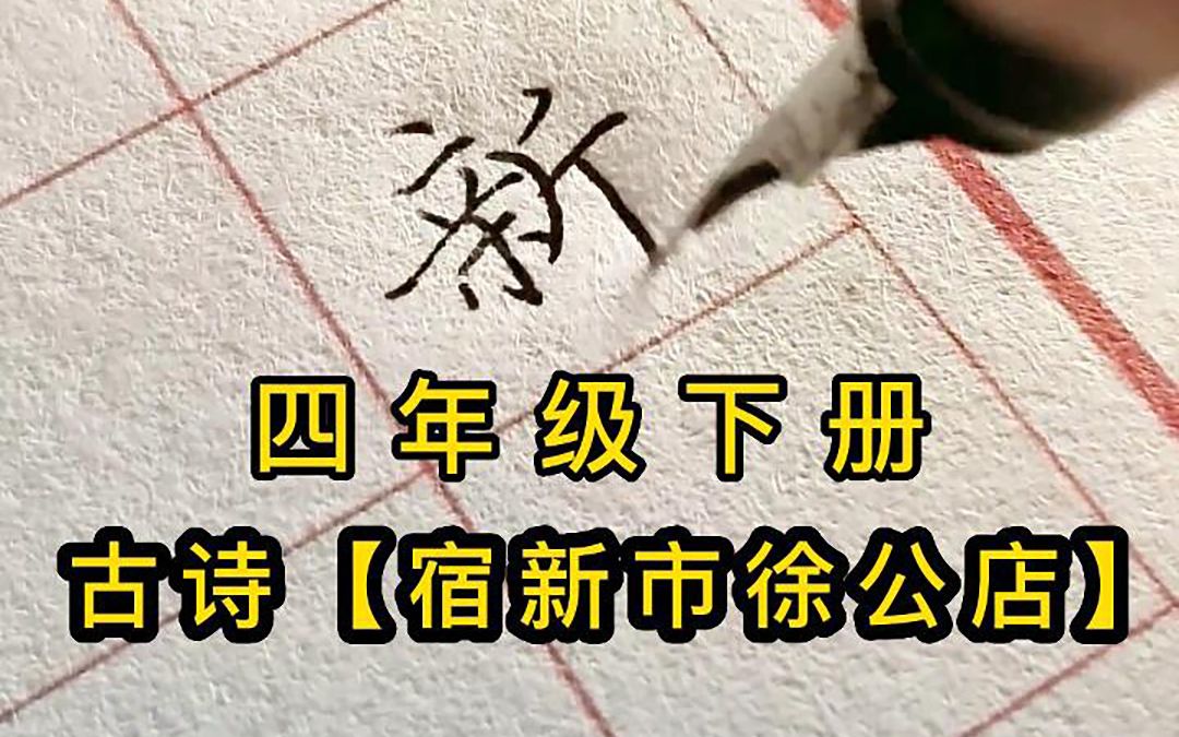 四年级下册古诗《宿新市徐公店》硬笔书写,一边学古诗,一边学书法哔哩哔哩bilibili