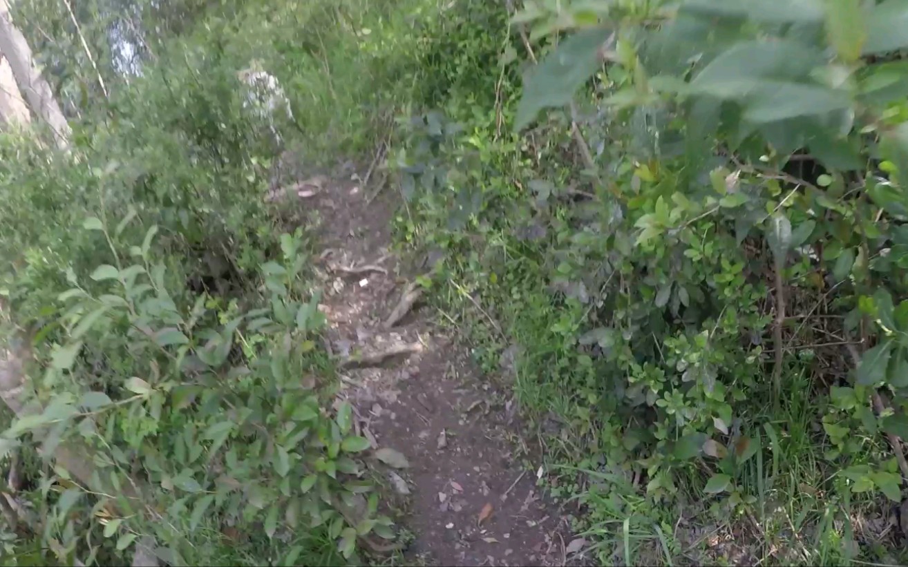 [图]上海野山探路