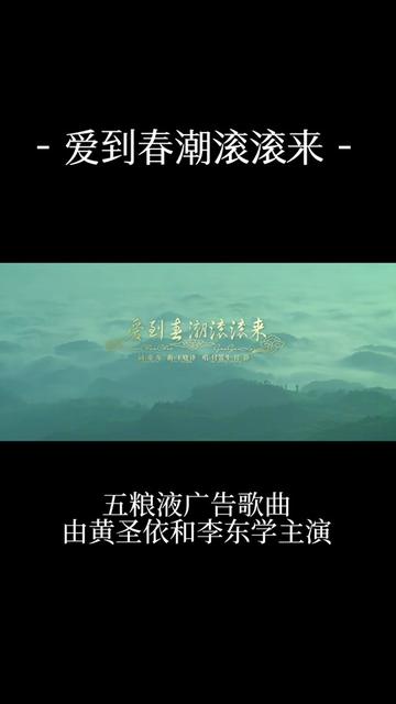 央视五粮液的广告,拍出了大片的感觉哔哩哔哩bilibili