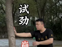 下载视频: 晨练试劲，八极拳