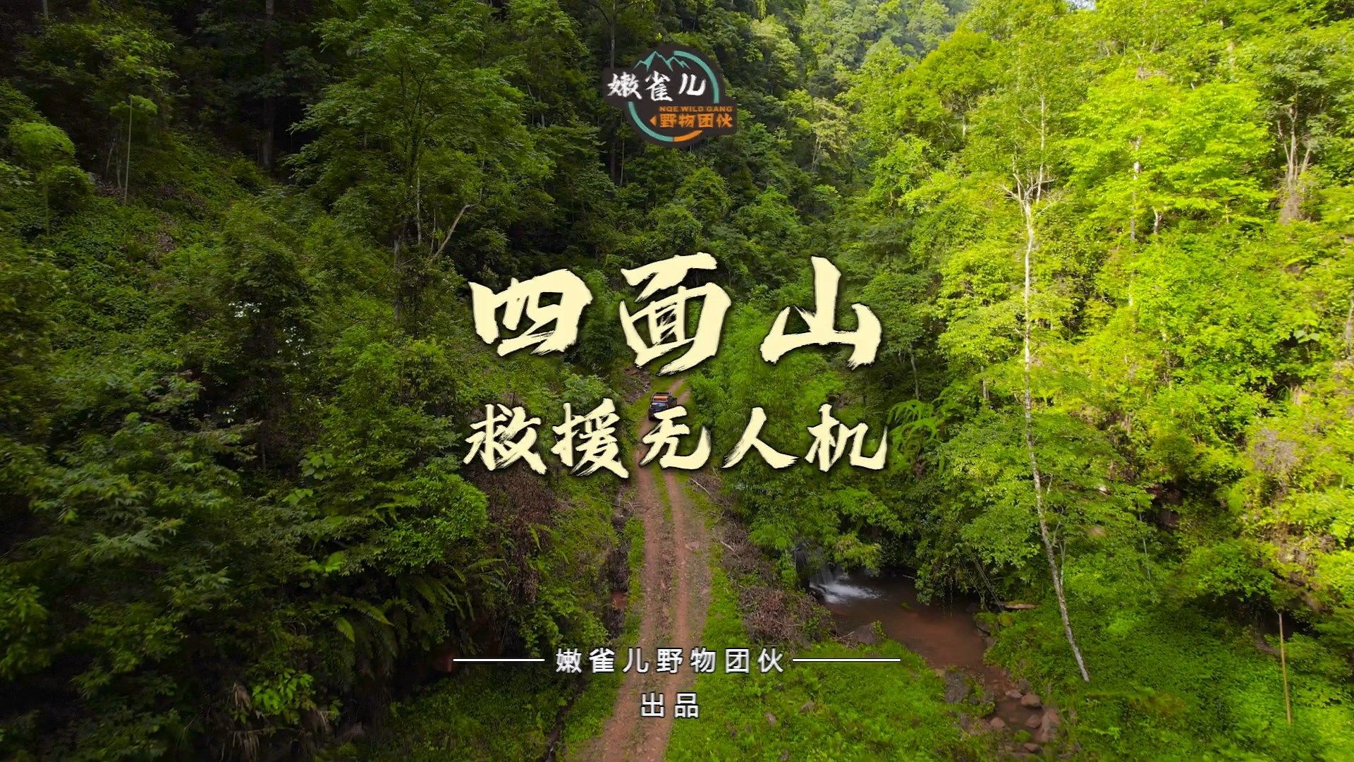 嫩雀儿野物团伙 四面山 救援无人机 20240623哔哩哔哩bilibili