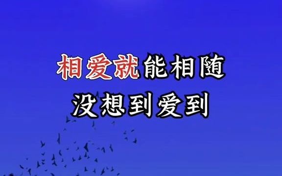 我把真心给了你你却不懂得珍惜#伤感音乐