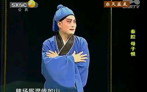 [图]【秦腔】《母子恨》全本全字幕 柳水涛主演 周至秦腔剧团