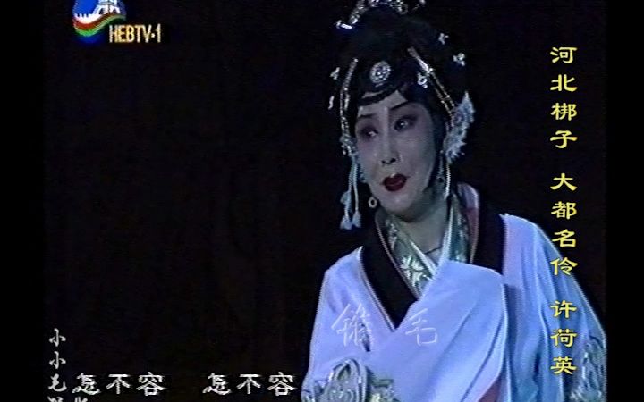 许荷英河北梆子《大都名伶》月无光鸟不鸣 录像带采集哔哩哔哩bilibili