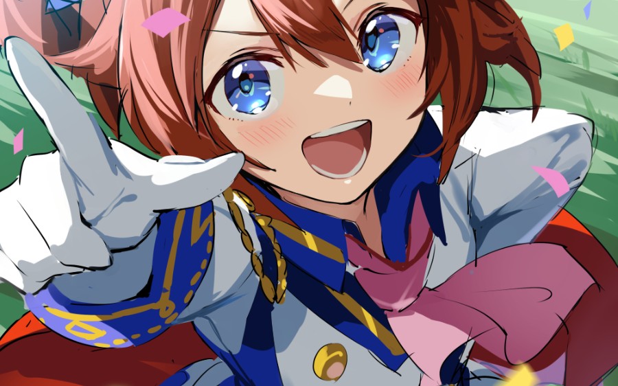 不屈的东海帝王 (复刻1993有马纪念)承载梦想的不屈马娘