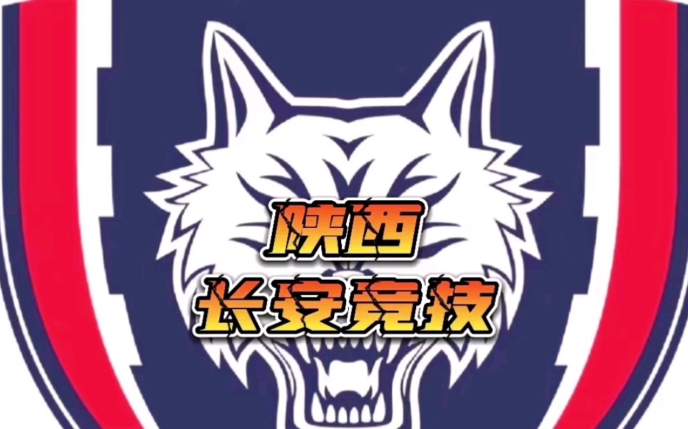是危机也是生机,加油,陕西长安竞技!
