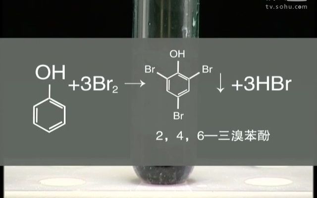 苯酚的溴代反应哔哩哔哩bilibili