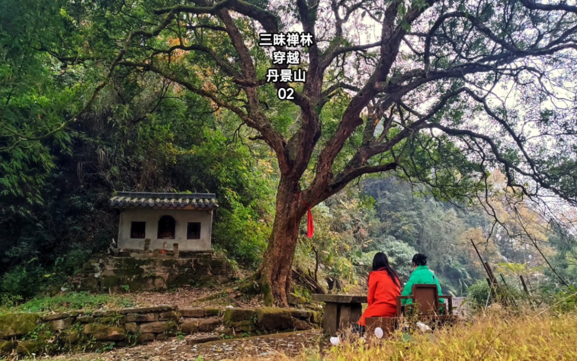 [图]彭州三昧禅林穿越丹景山2，遇老人隐居深山自给自足，到达古树旁