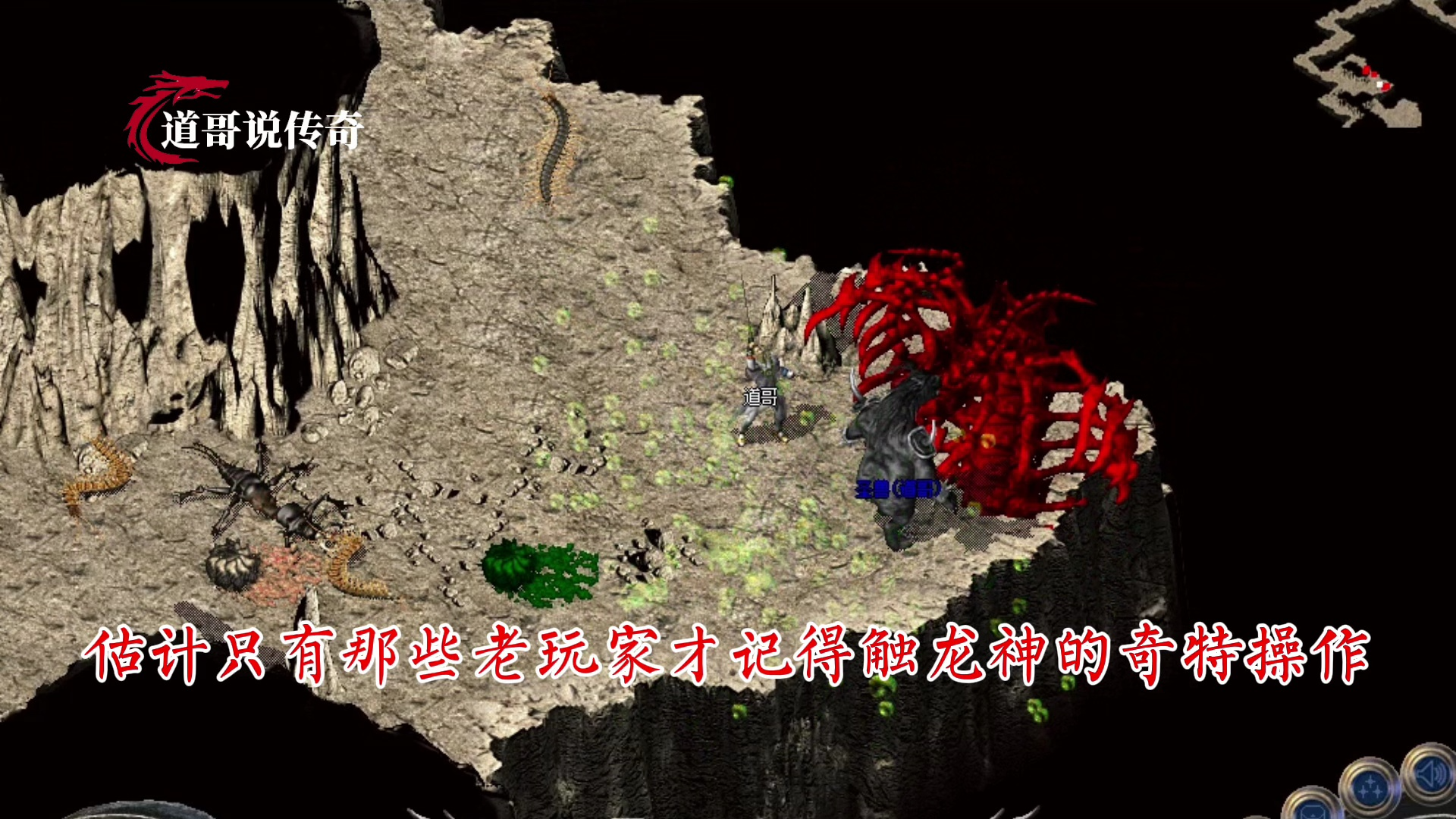 热血传奇:浅析触龙神三大特征,前两个属性,第三个很少人知道