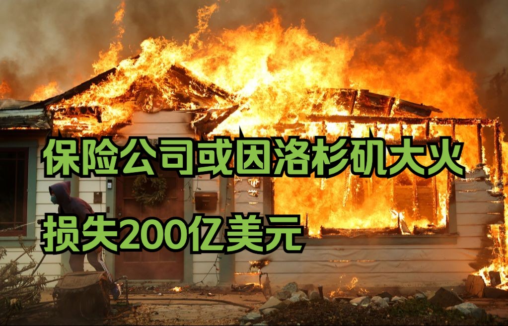 外媒:保险公司或因洛杉矶大火损失200亿美元哔哩哔哩bilibili