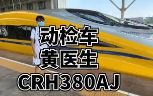 Descargar video: 近距离观察动检“黄医生”CRH380AJ