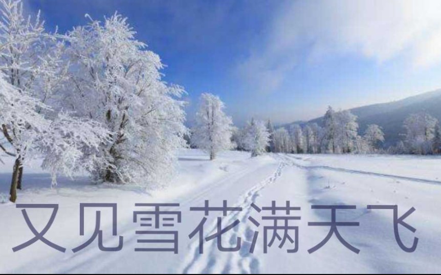 [图]重唱《又见雪花满天飞》