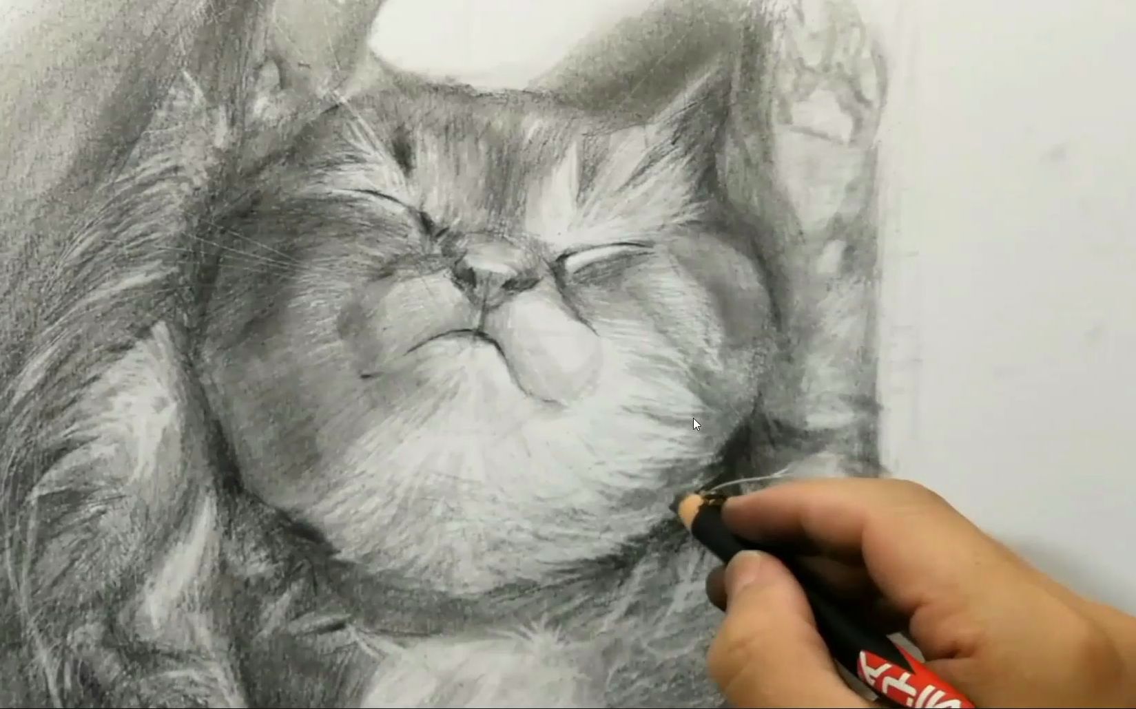 素描教程~画一个可爱小猫咪