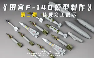 Download Video: 《田宫F-14D模型制作》第二期-挂载完工分享