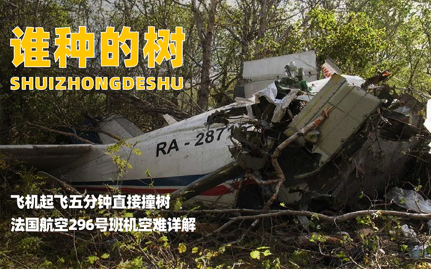 飞机起飞五分钟直接撞树,法国航空296号班机空难纪录片详解