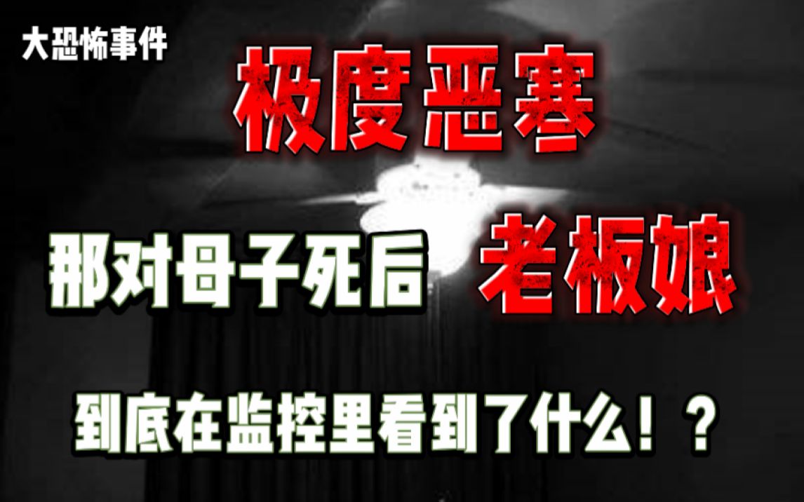 【大恐怖事件】那对母子去世后,老板娘到底在监控里到底看到了什么!?四个人的酒店里,似乎多了谁!?哔哩哔哩bilibili