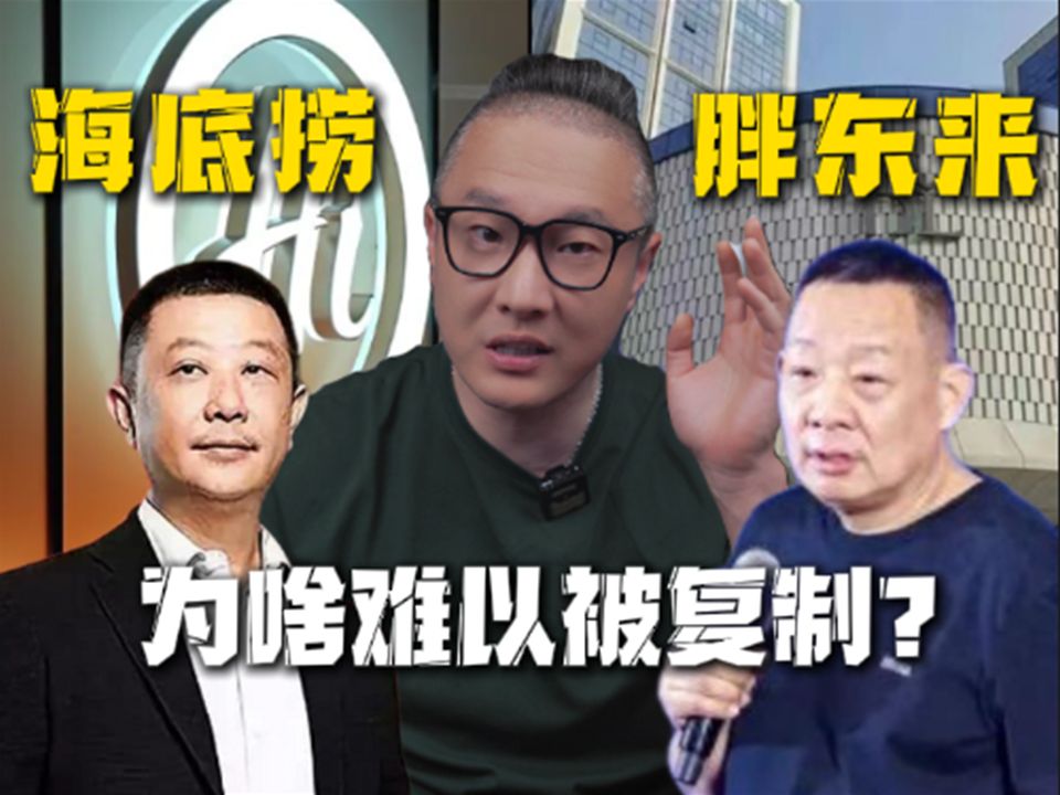 从海底捞到胖东来,为啥他们的经营理念难以被复制?哔哩哔哩bilibili