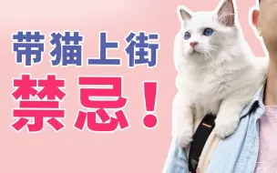 下载视频: 切勿盲目带猫上街！猫社会化训练禁忌！