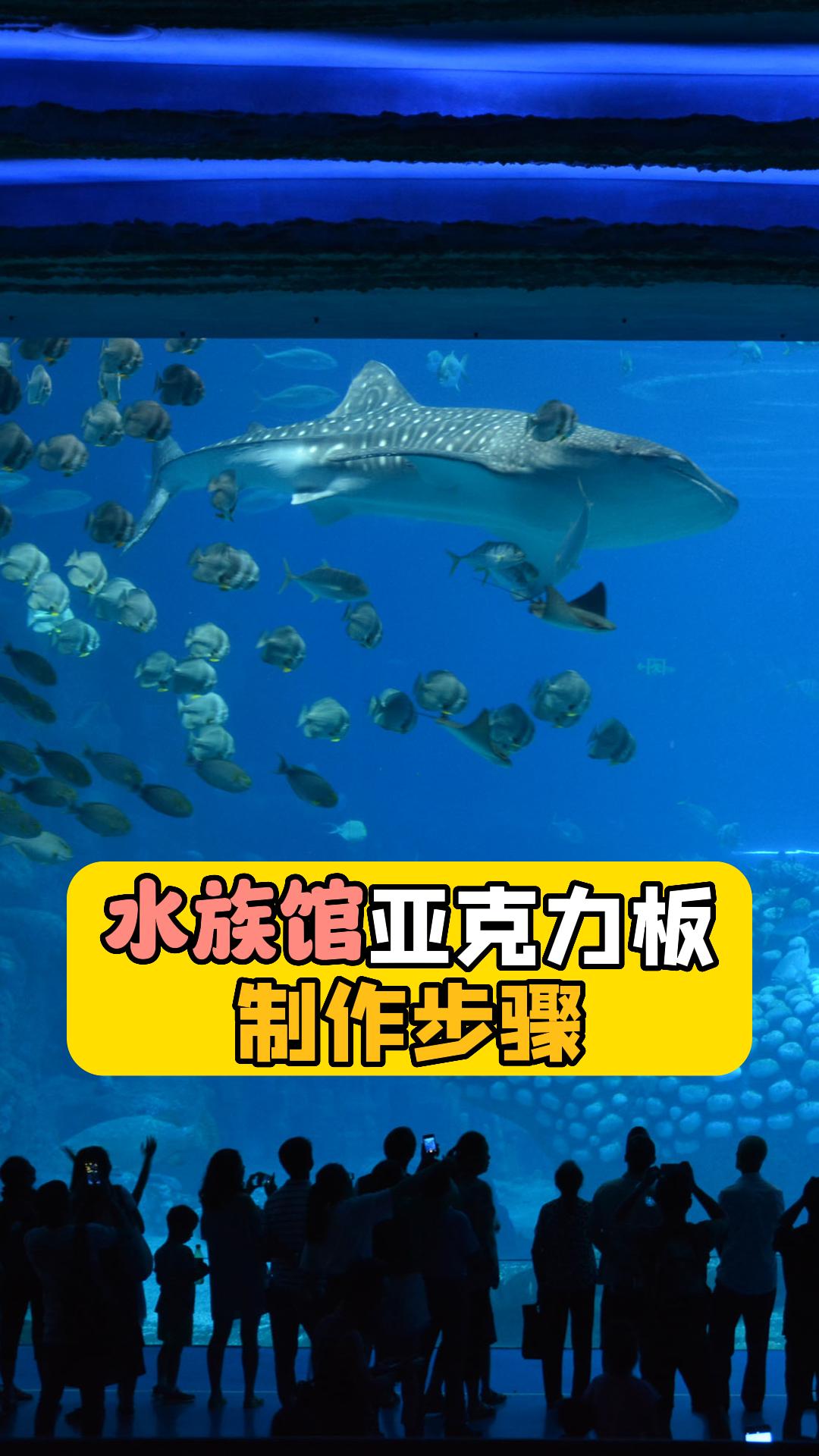 亚克力板怎么定制?水族馆亚克力板制作步骤哔哩哔哩bilibili