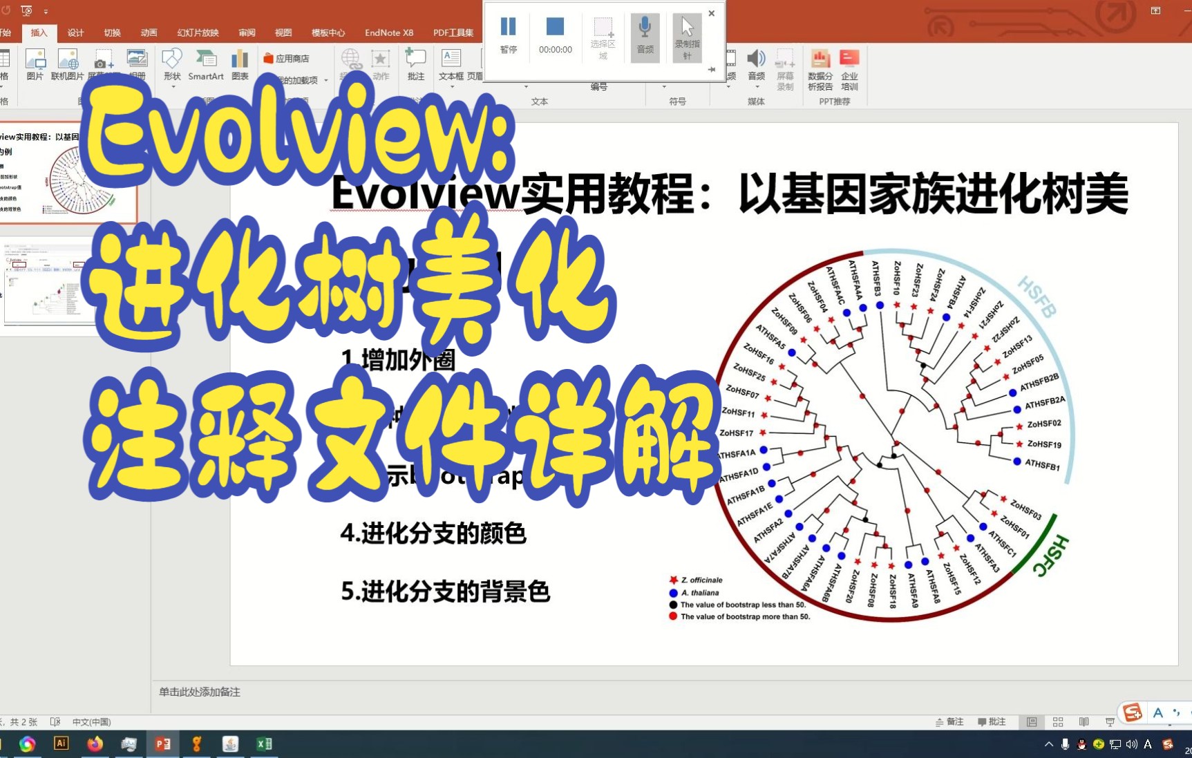 [图]Evolview进化树美化：以基因家族进化树美化为例（声音较小建议戴耳机观看）