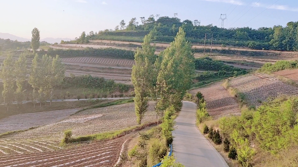 美丽乡村麦子丰收了,洛宁县兴华镇夏前头村慈善家郭战解拍摄!