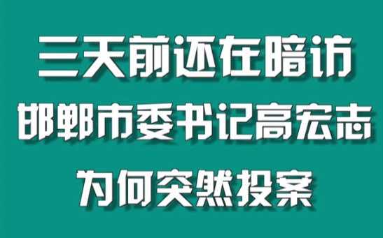 [图]三天前还在暗访 ，邯郸市委书记高宏志为何突然投案