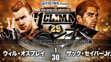 386 G1 CLIMAX 2002 DVD-BOX 蝶野正洋SPECIAL