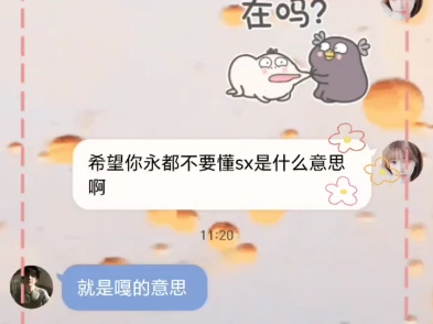 希望你永远不要知道sx是什么意思?哔哩哔哩bilibili