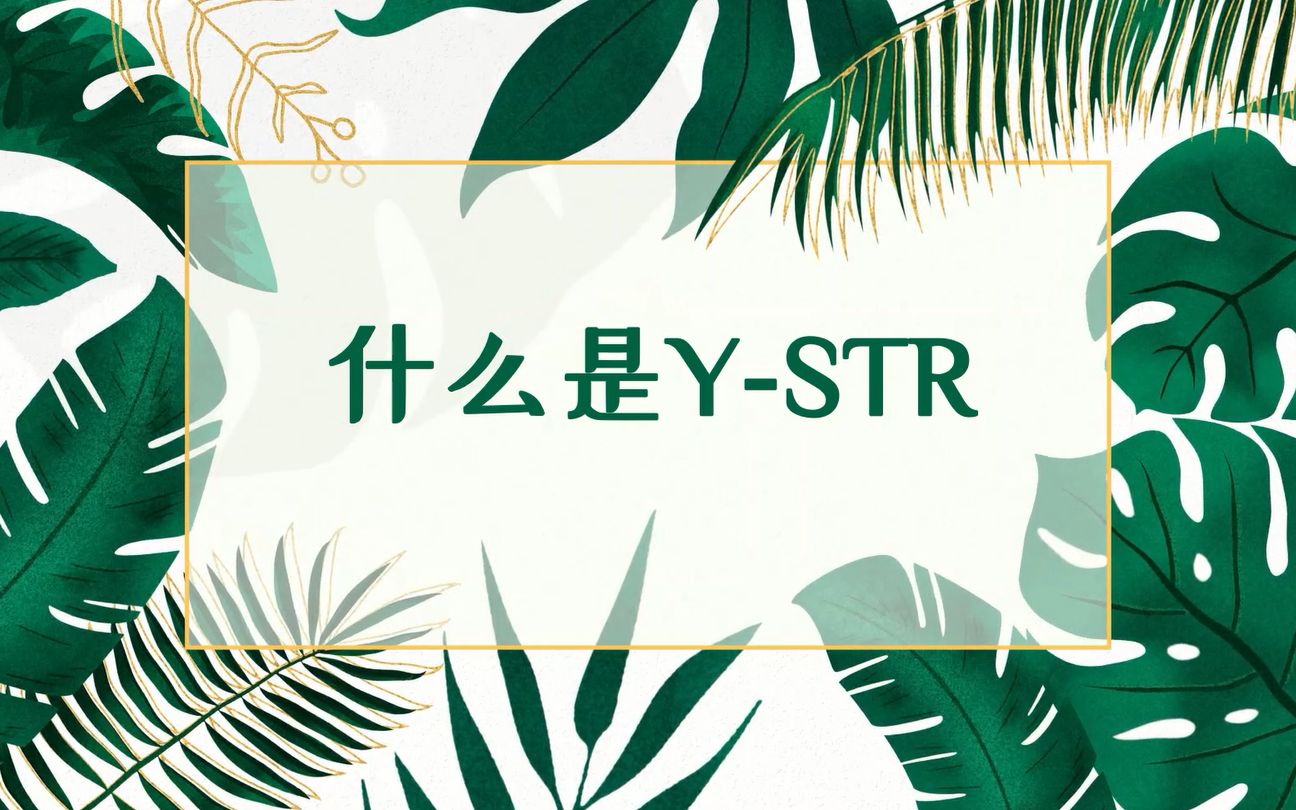 [图]什么是Y-STR