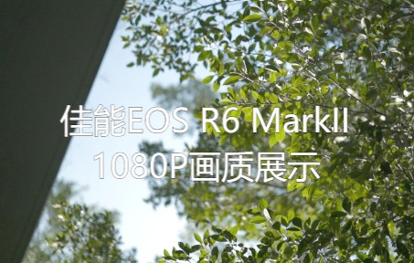 佳能R6 MarkII 1080P画质展示,官方还原lut哔哩哔哩bilibili