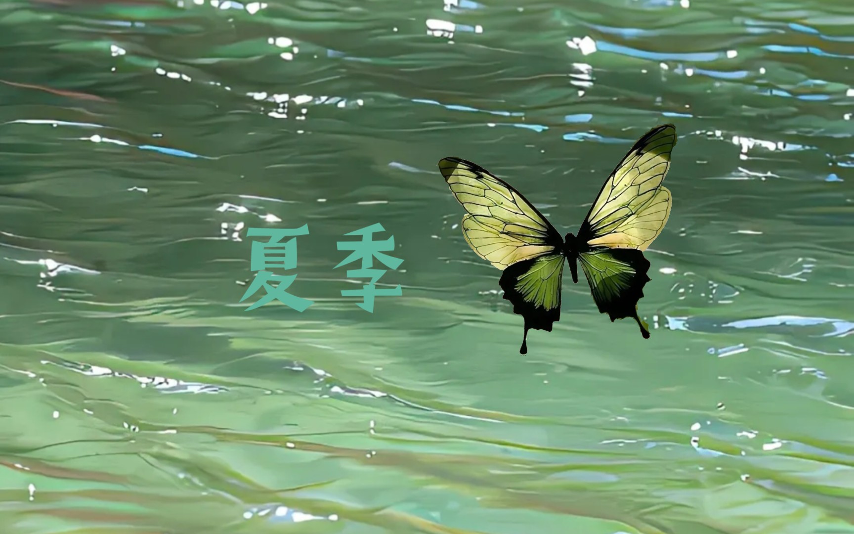 "漫步时光长河,捕捉瞬间美好"