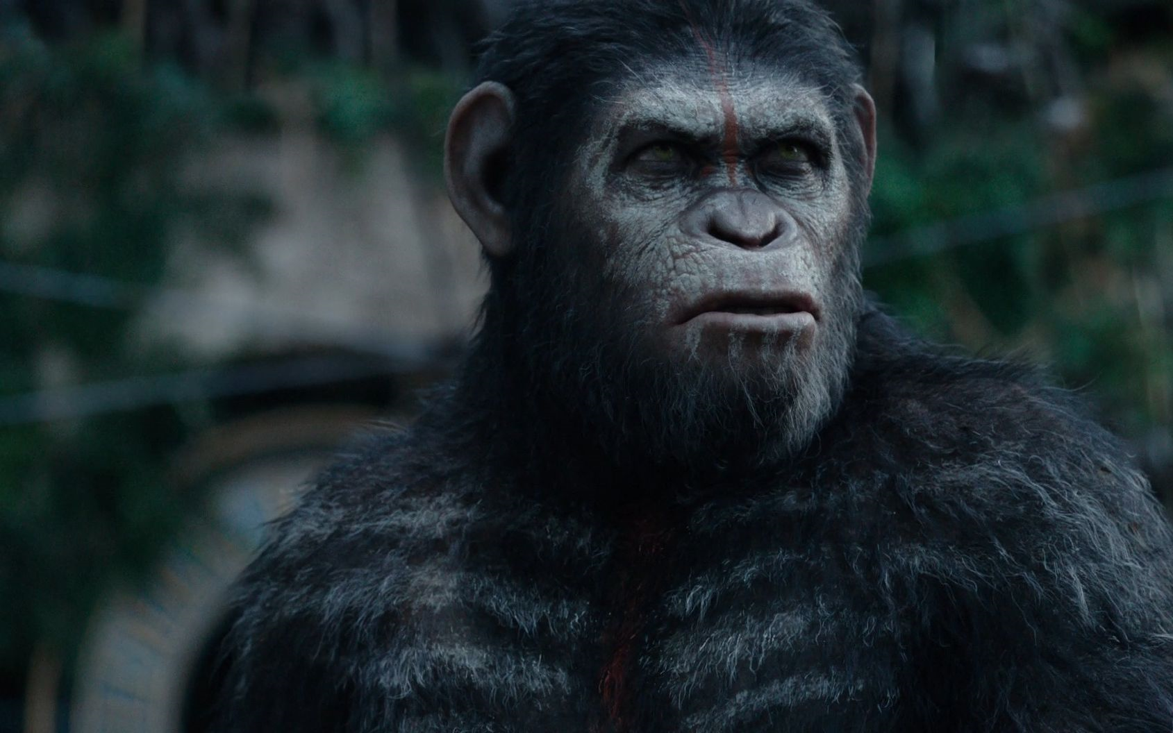 [图]Dawn of the Planet of the Apes