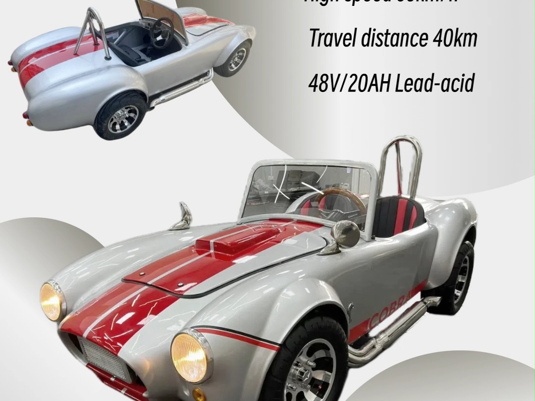 凯宸swicoo 1500w 迷你眼镜蛇