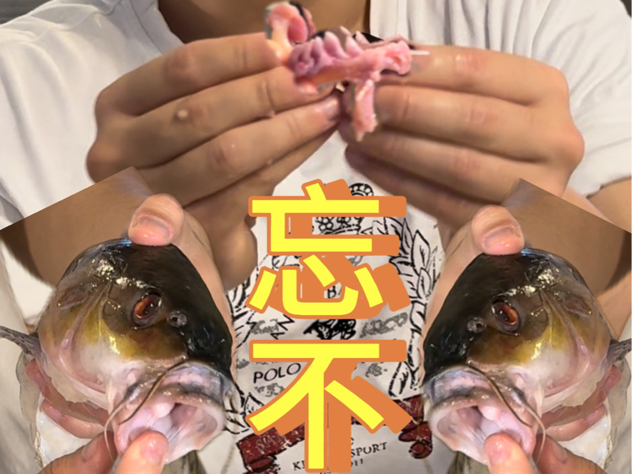 吃了忘不了真的忘不了!