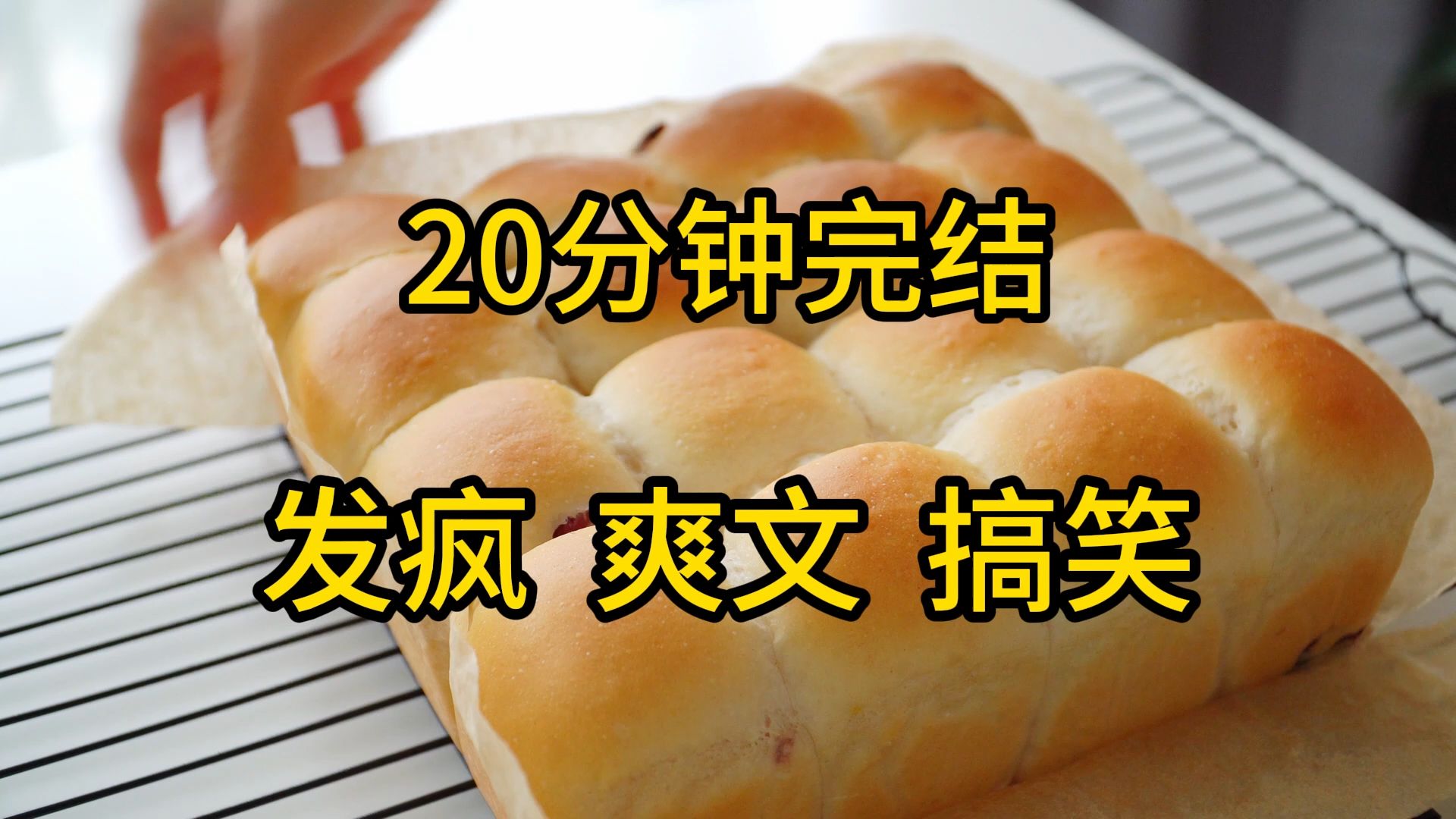 (20分钟完结)在被确诊为癌症晚期后,我决定为社会做点贡献哔哩哔哩bilibili