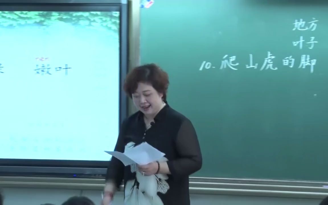 小学语文四上:《爬山虎的脚》(有PPT课件教案) 优质公开课 部编版人教版统编版 小学语文四年级上册 N赛课获奖课例哔哩哔哩bilibili