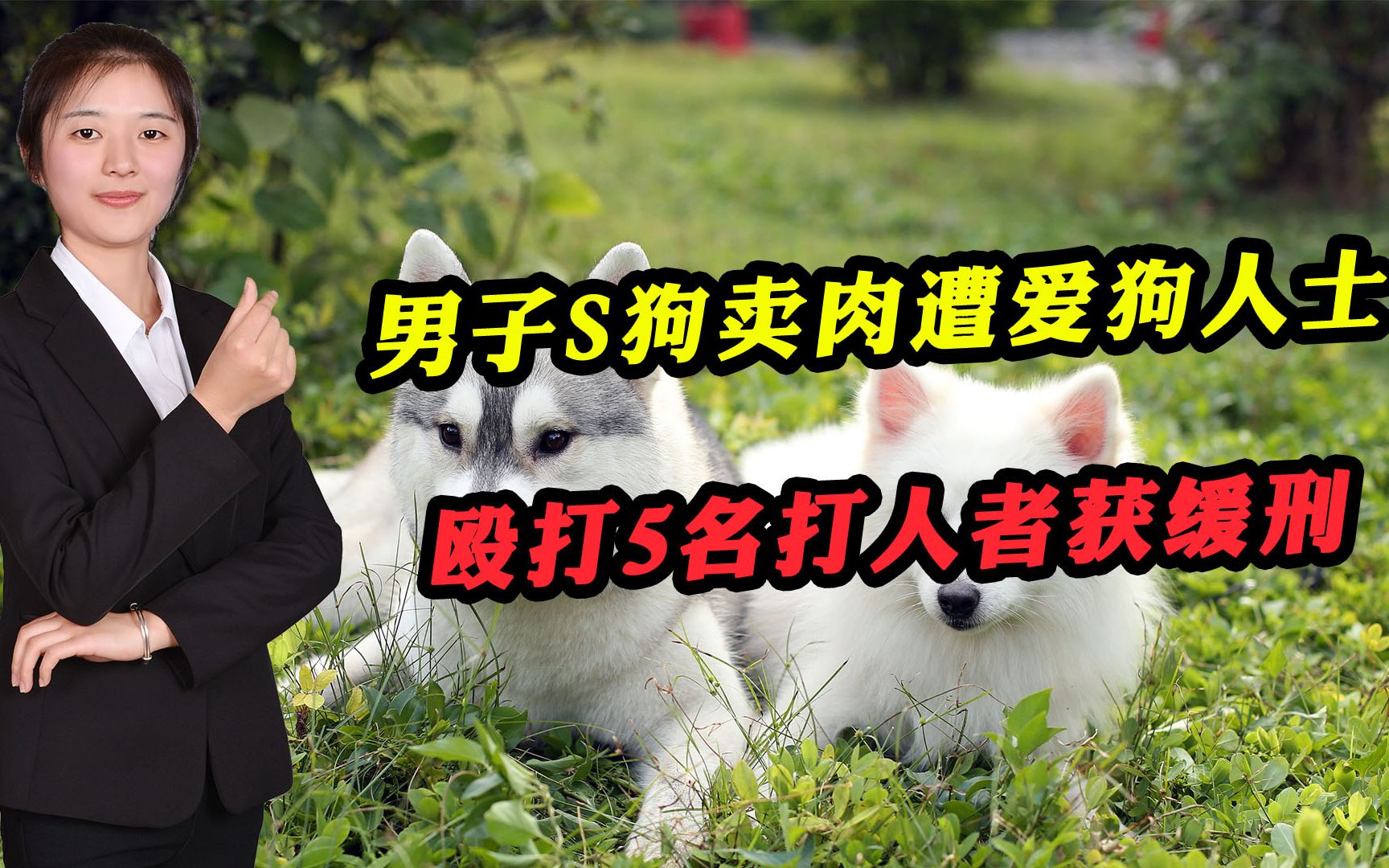 男子卖狗肉遭爱狗人士殴打5名打人者获缓刑对此你怎么看