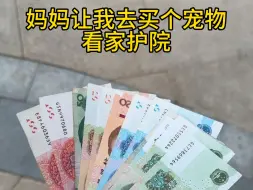 Descargar video: 妈妈让我买个宠物，最好凶猛一点的，买回来了