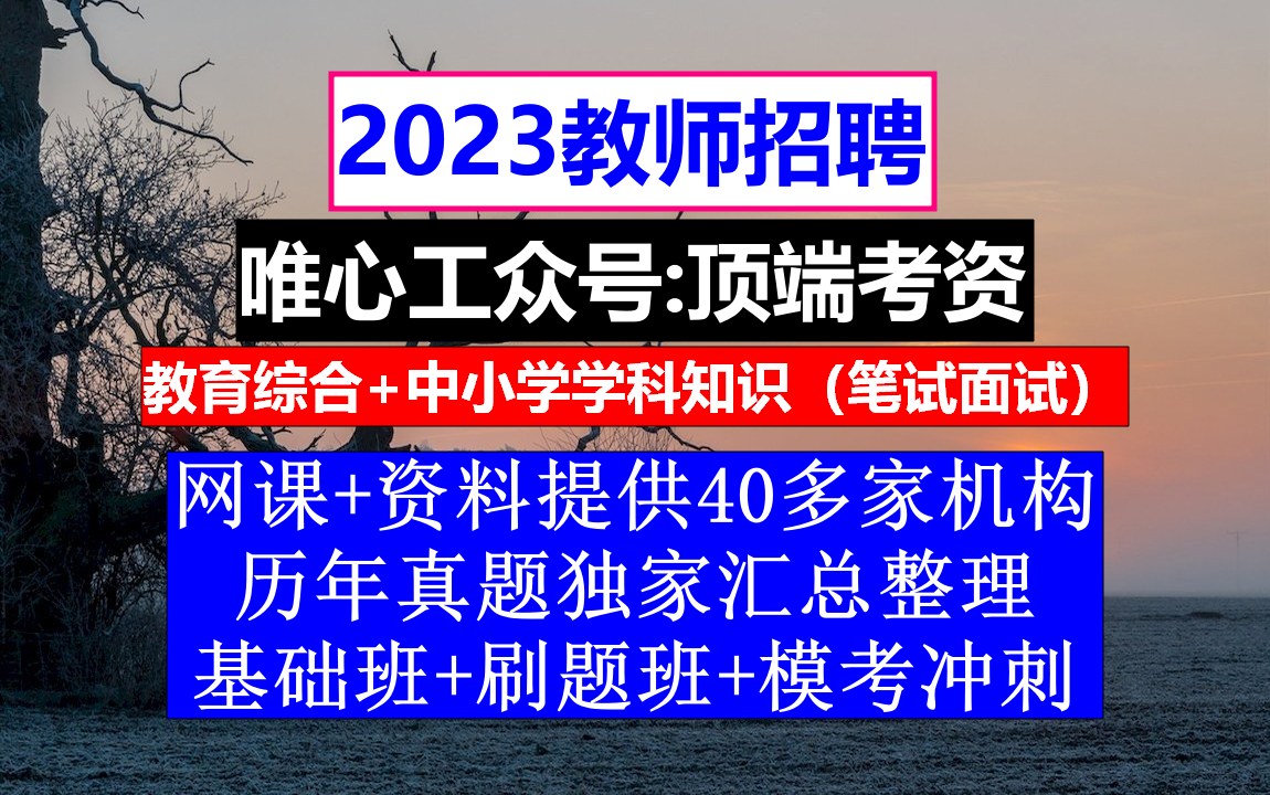 教师招聘,教师招聘报到证丢了怎么办,教师招聘模板范文哔哩哔哩bilibili