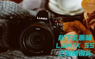 Download Video: 松下LUMIX相机最速教学《两分钟带你玩转一个功能》之S5 抽帧镜头拍摄