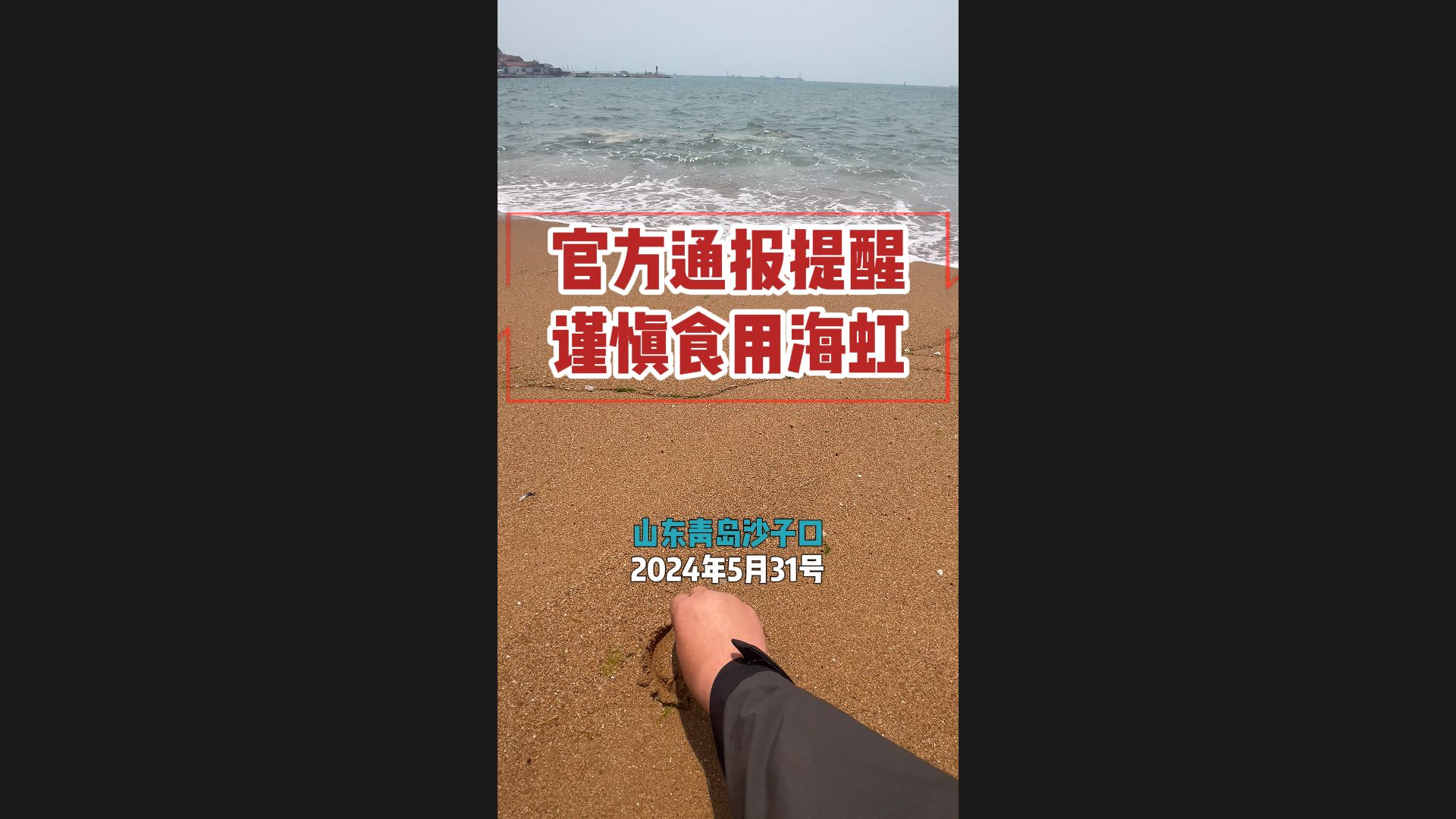 多多转发!秦皇岛官方提醒海虹谨慎吃!哔哩哔哩bilibili