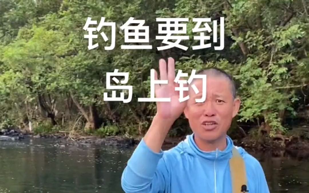 [图]深水石头旁都是小猪！