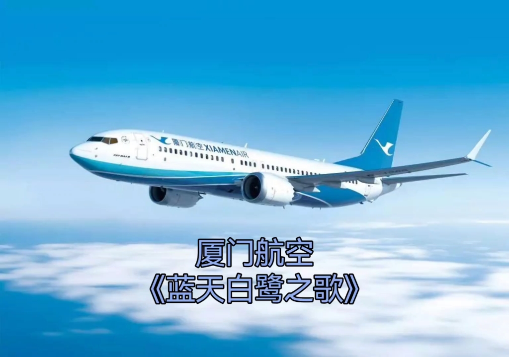 小白鹭航空图片