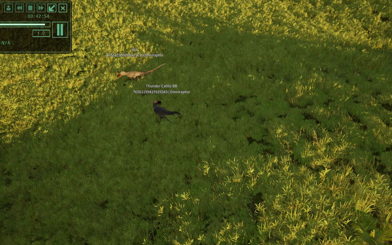 挑战自我,成就非凡