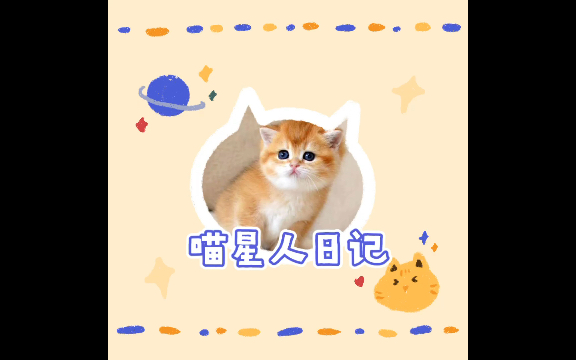 喵星人的日记哔哩哔哩bilibili