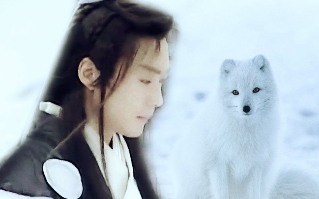 【沈晓海】傅玉书-小狐狸