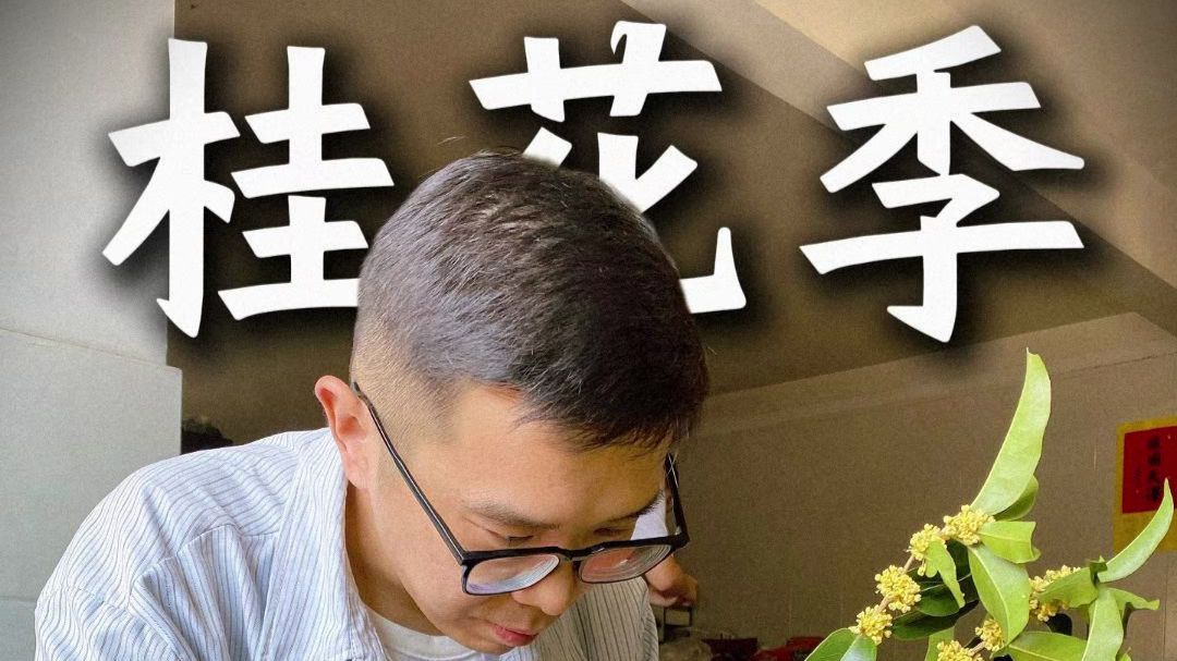 桂花季，把浅秋的暖香，收进一盏茶汤…