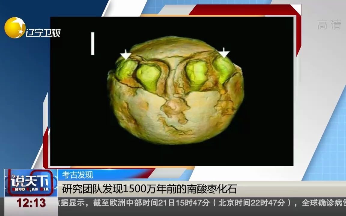 1500万年前的枣被发现看看它的复原图真是感叹于大自然的神奇